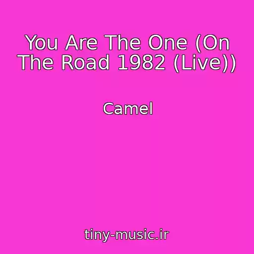 کاور آهنگ You Are The One (On The Road 1982 (Live)) از Camel