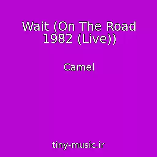 کاور آهنگ Wait (On The Road 1982 (Live)) از Camel