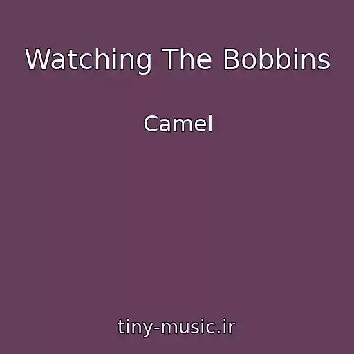 کاور آهنگ Watching The Bobbins از Camel