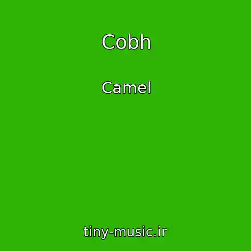 کاور آهنگ Cobh از Camel