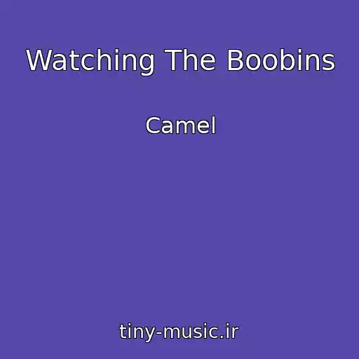 کاور آهنگ Watching The Boobins از Camel