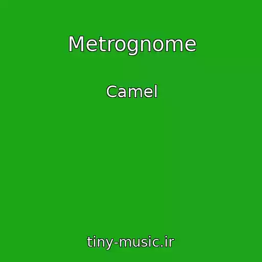 کاور آهنگ Metrognome از Camel