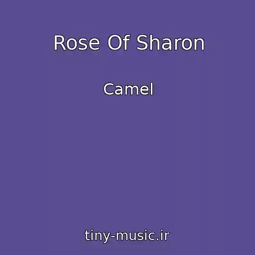 کاور آهنگ Rose Of Sharon از Camel