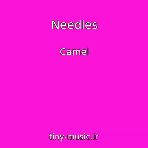 کاور آهنگ Needles از Camel