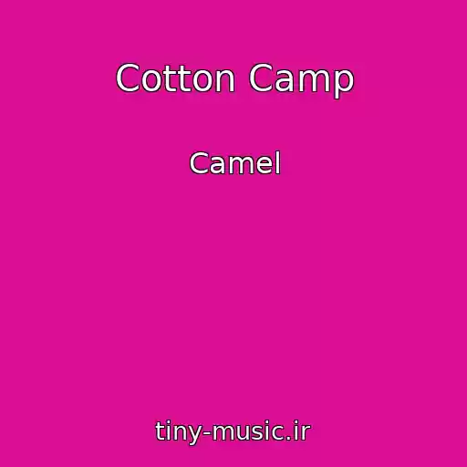 کاور آهنگ Cotton Camp از Camel