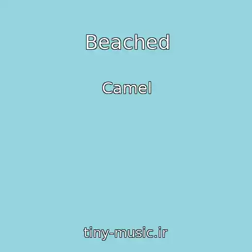 کاور آهنگ Beached از Camel