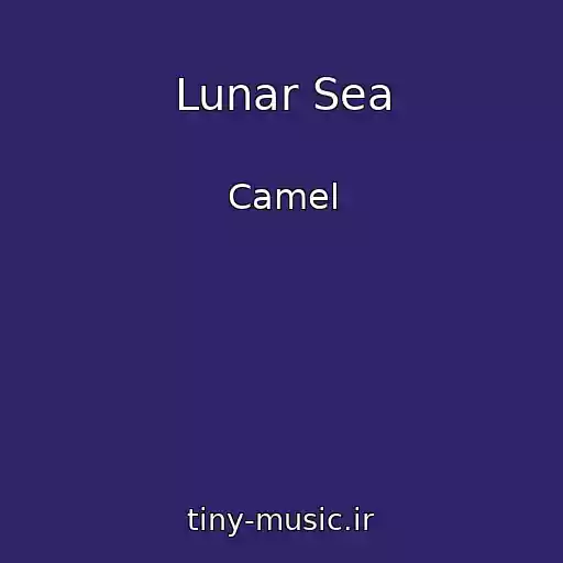 کاور آهنگ Lunar Sea از Camel