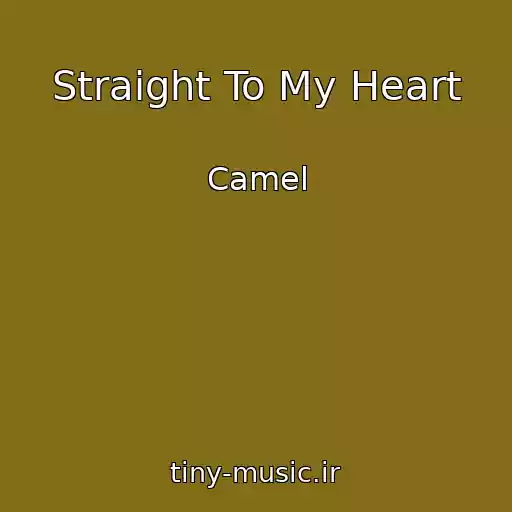 کاور آهنگ Straight To My Heart از Camel