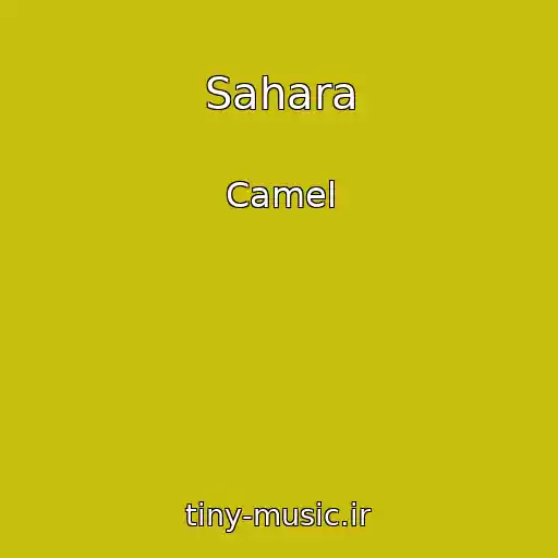 کاور آهنگ Sahara از Camel