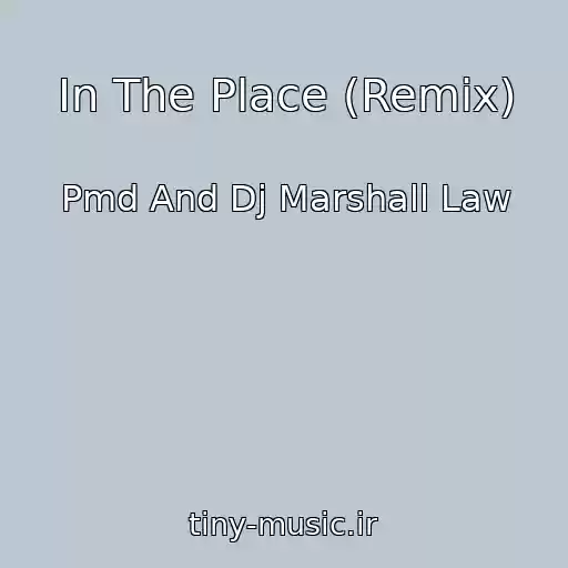 کاور آهنگ In The Place (Remix) از Pmd And Dj Marshall Law