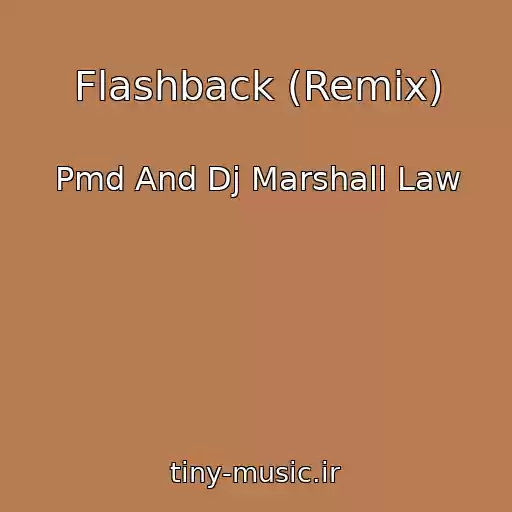 کاور آهنگ Flashback (Remix) از Pmd And Dj Marshall Law
