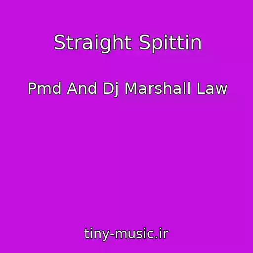 کاور آهنگ Straight Spittin از Pmd And Dj Marshall Law