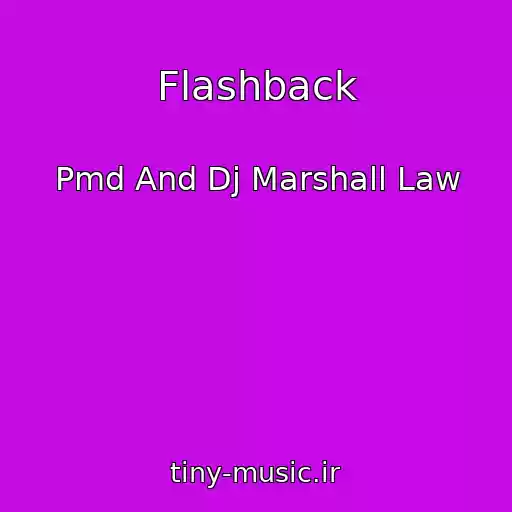 کاور آهنگ Flashback از Pmd And Dj Marshall Law