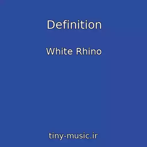 کاور آهنگ Definition از White Rhino
