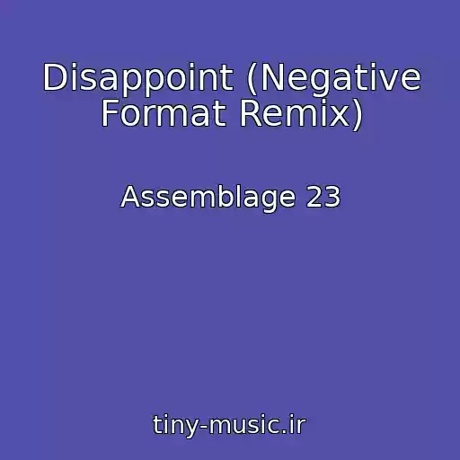 کاور آهنگ Disappoint (Negative Format Remix) از Assemblage 23