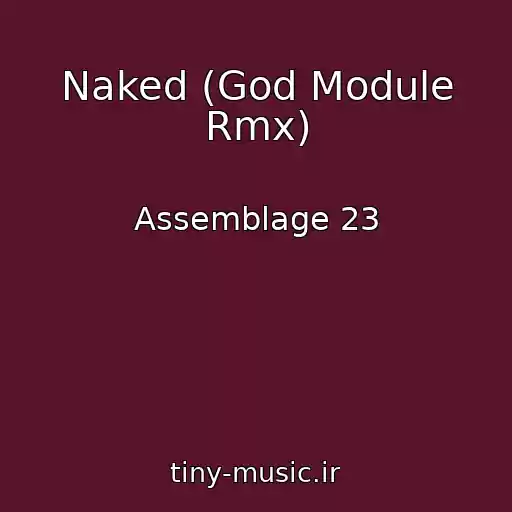 کاور آهنگ Naked (God Module Rmx) از Assemblage 23