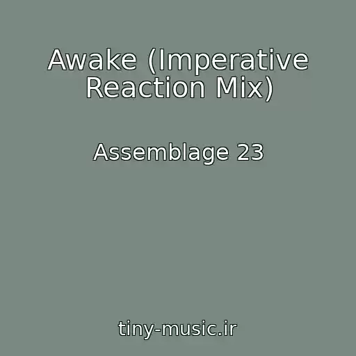 کاور آهنگ Awake (Imperative Reaction Mix) از Assemblage 23