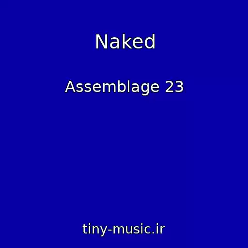 کاور آهنگ Naked از Assemblage 23