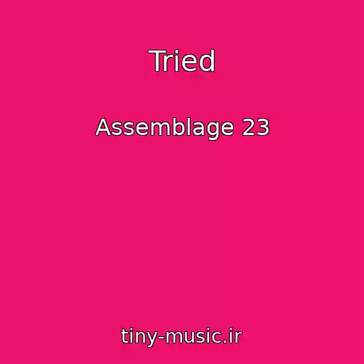 کاور آهنگ Tried از Assemblage 23