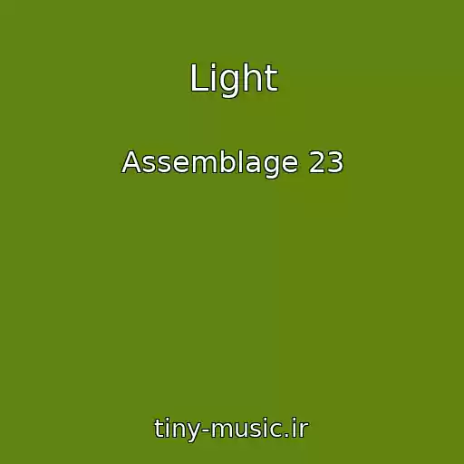 کاور آهنگ Light از Assemblage 23