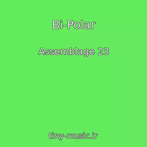 کاور آهنگ Bi-Polar از Assemblage 23