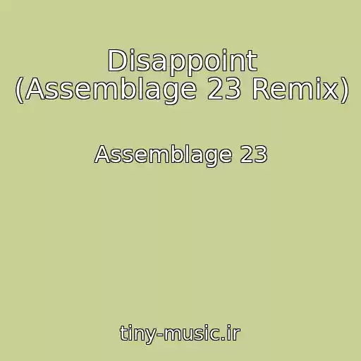 کاور آهنگ Disappoint (Assemblage 23 Remix) از Assemblage 23