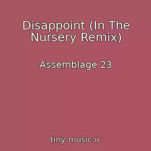 کاور آهنگ Disappoint (In The Nursery Remix) از Assemblage 23