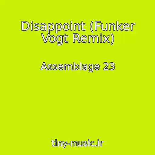 کاور آهنگ Disappoint (Funker Vogt Remix) از Assemblage 23