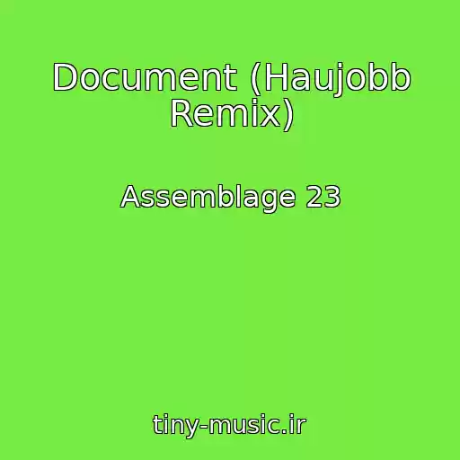 کاور آهنگ Document (Haujobb Remix) از Assemblage 23