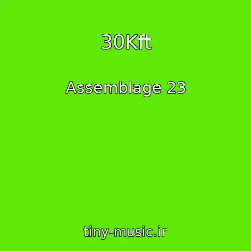 کاور آهنگ 30Kft از Assemblage 23