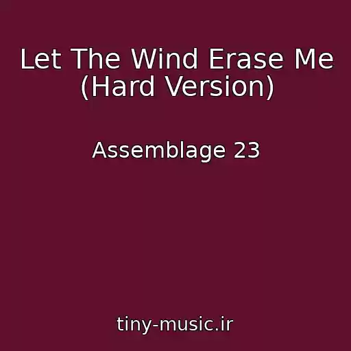 کاور آهنگ Let The Wind Erase Me (Hard Version) از Assemblage 23