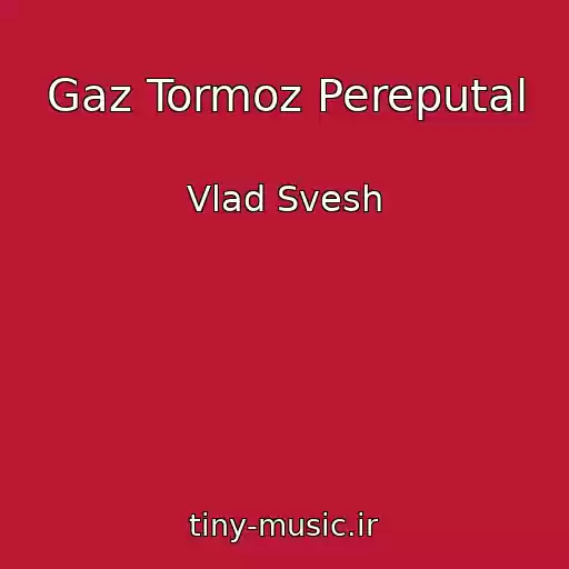 کاور آهنگ Gaz Tormoz Pereputal از Vlad Svesh