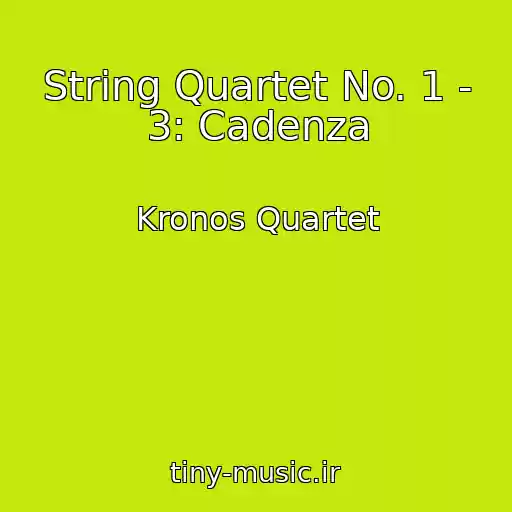 کاور آهنگ String Quartet No. 1 - 3: Cadenza از Kronos Quartet