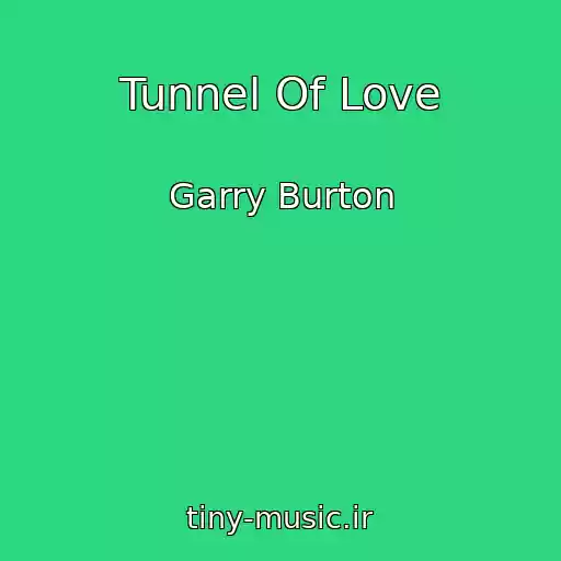 کاور آهنگ Tunnel Of Love از Garry Burton