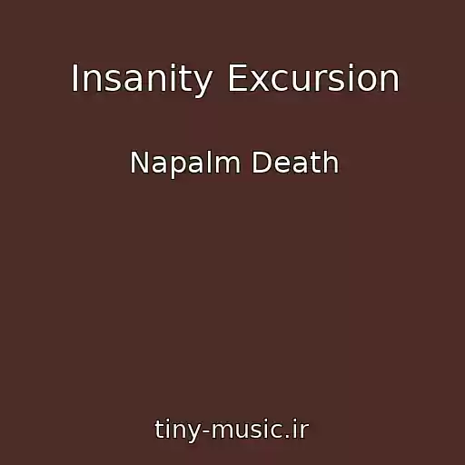 کاور آهنگ Insanity Excursion از Napalm Death