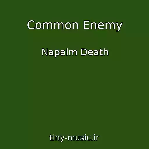 کاور آهنگ Common Enemy از Napalm Death