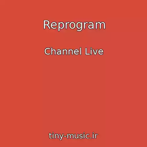کاور آهنگ Reprogram از Channel Live