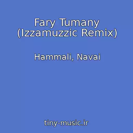 کاور آهنگ Fary Tumany (Izzamuzzic Remix) از Hammali, Navai
