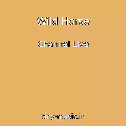 کاور آهنگ Wild Horse از Channel Live