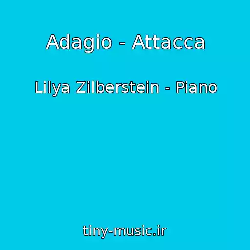 کاور آهنگ Adagio - Attacca از Lilya Zilberstein - Piano