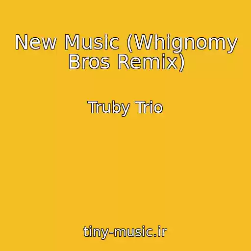 کاور آهنگ New Music (Whignomy Bros Remix) از Truby Trio