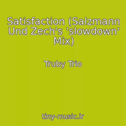 کاور آهنگ Satisfaction (Salzmann Und Zech's 'slowdown' Mix) از Truby Trio