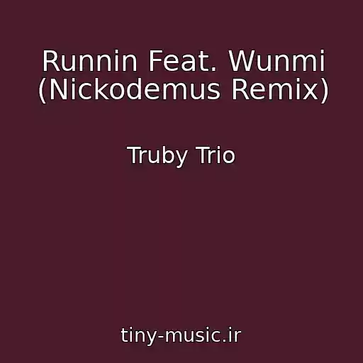 کاور آهنگ Runnin Feat. Wunmi (Nickodemus Remix) از Truby Trio