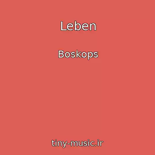 کاور آهنگ Leben از Boskops