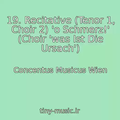 کاور آهنگ 19. Recitative (Tenor 1, Choir 2) 'o Schmerz!' (Choir 'was Ist Die Ursach') از Concentus Musicus Wien