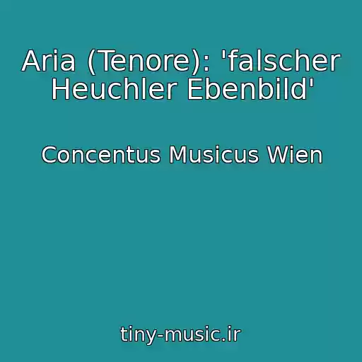 کاور آهنگ Aria (Tenore): 'falscher Heuchler Ebenbild' از Concentus Musicus Wien