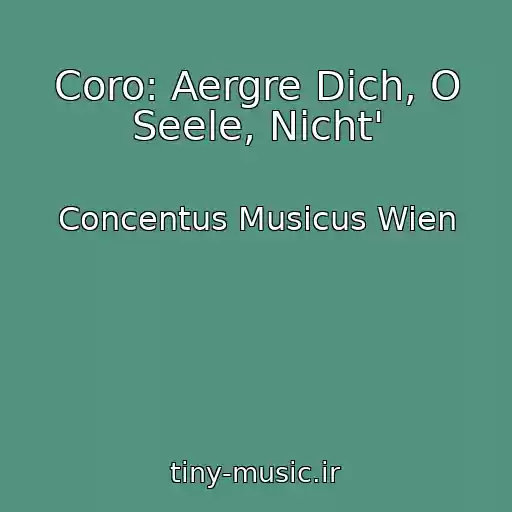 کاور آهنگ Coro: Aergre Dich, O Seele, Nicht' از Concentus Musicus Wien
