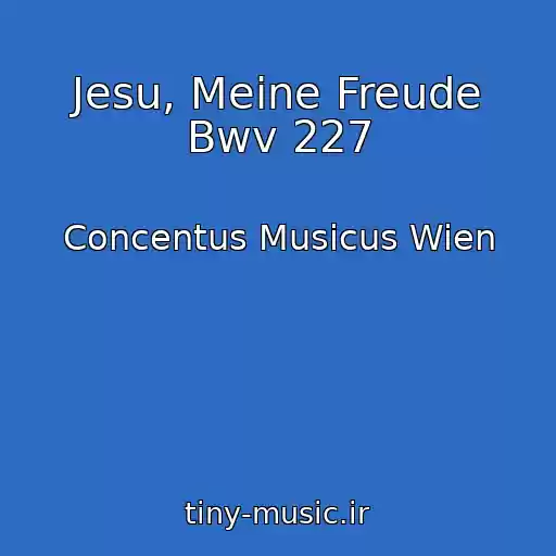 کاور آهنگ Jesu, Meine Freude Bwv 227 از Concentus Musicus Wien