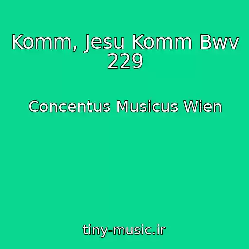 کاور آهنگ Komm, Jesu Komm Bwv 229 از Concentus Musicus Wien