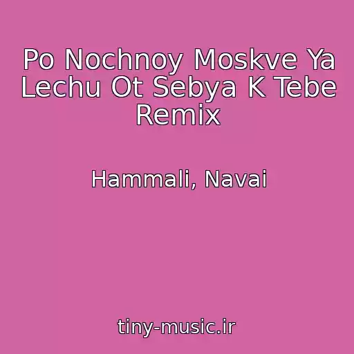 کاور آهنگ Po Nochnoy Moskve Ya Lechu Ot Sebya K Tebe Remix از Hammali, Navai